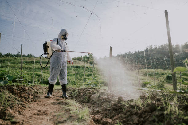 Best Local Pest Control Services  in , WI