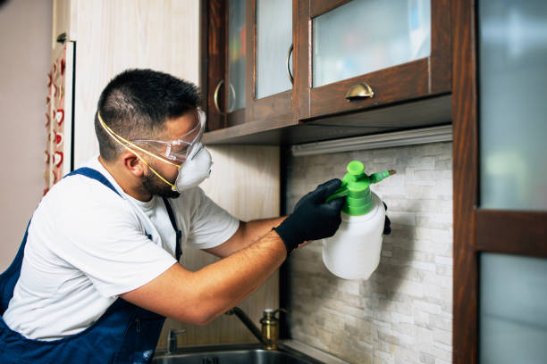 Best Residential Pest Control  in , WI