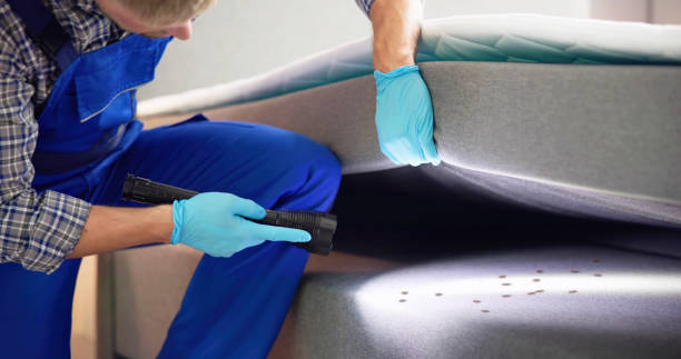 Best Mosquito Control Services  in , WI